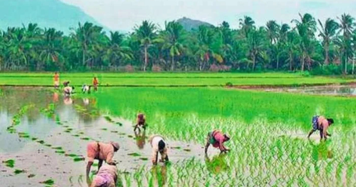 rs 9000 crore rythu bharosa released for farmers in telangana